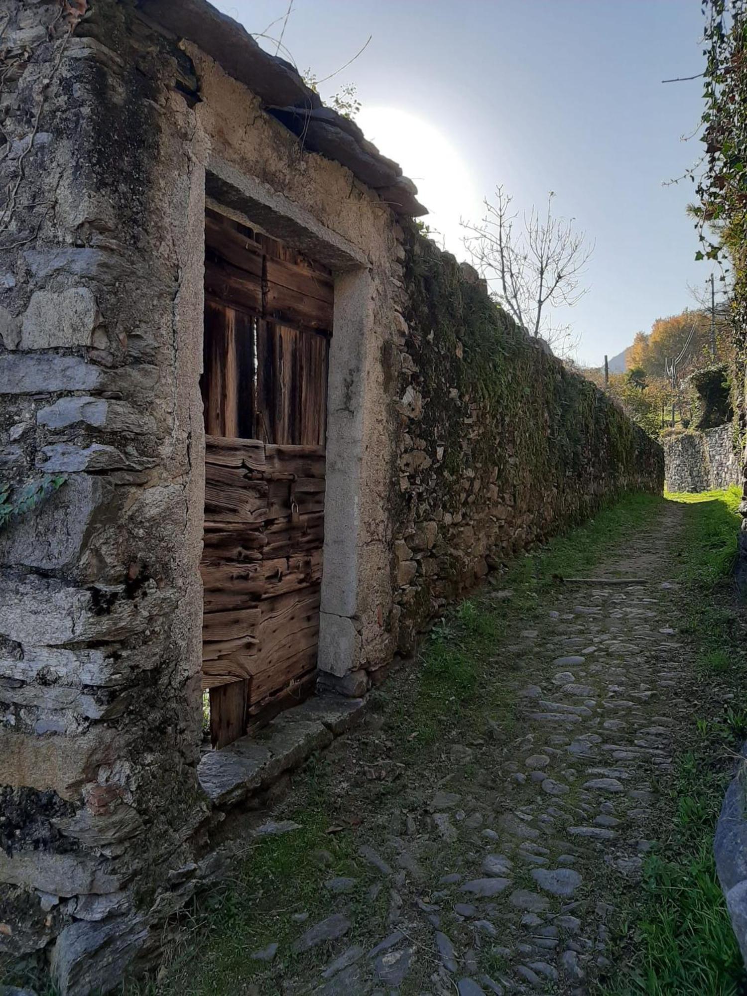 Appartamento Residenza Le Camelie Oggebio Esterno foto